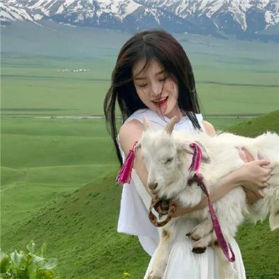 和歌子酒第六季